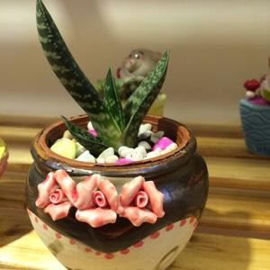淡然