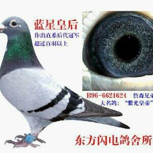 你是我唯一