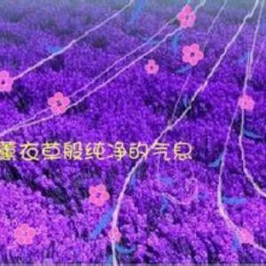 薰衣草的清香