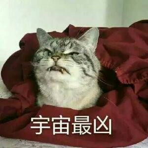 月华提灯