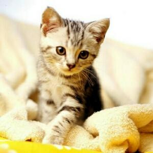 遥不可及那星空