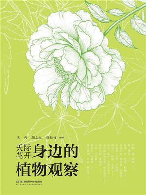 身边的植物观察