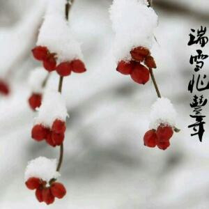 童言无忌233