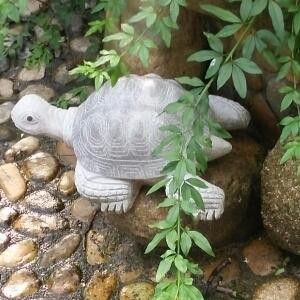 回首过去