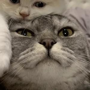 ◇◆。繁花落幕丢了緈諨