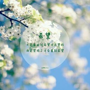 巧燕
