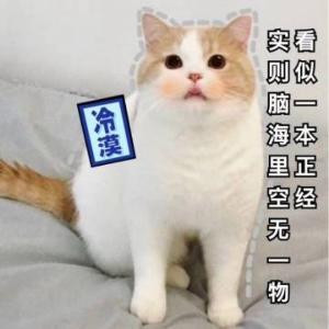 风上寂
