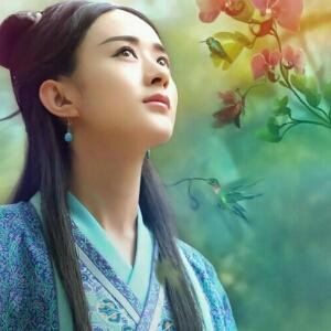 你是我寄居的巷