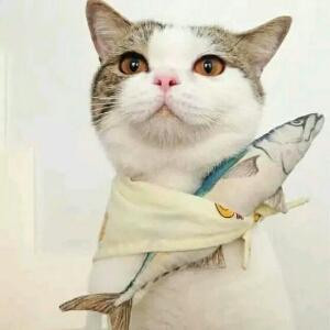 起风了