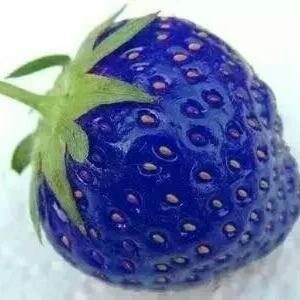 ☞姐的霸气你学不来☜