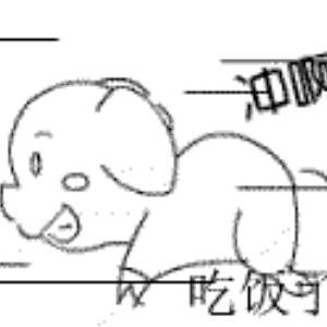 猪