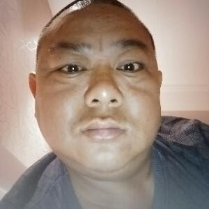 凤凰蝶狼