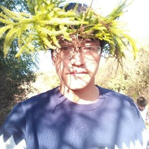 潇洒懒龙