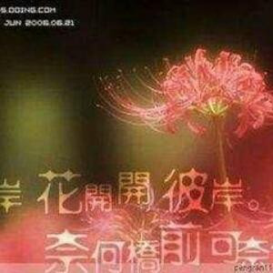 花开彼岸奈何桥