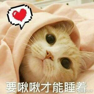 格式化i