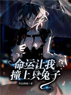 命运让我撞上只兔子