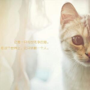 再多一秒