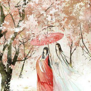 花落时
