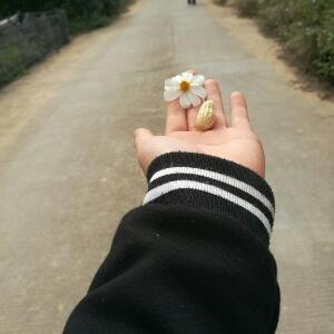 。。。