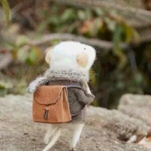 背着书包的老鼠