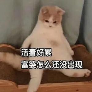 n8qyg5ljq