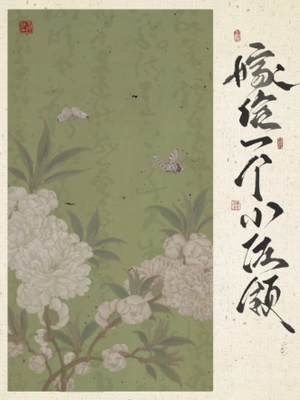 嫁给一个小佐领（清穿）