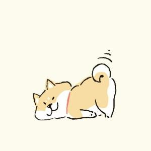 猪小黑