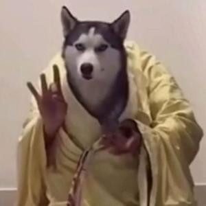 风清曳