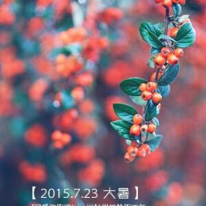 文文