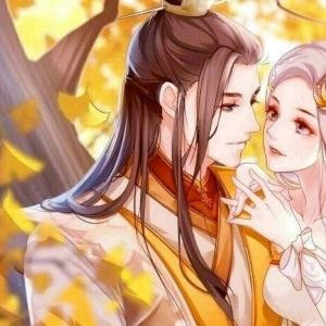 佛系惊鸿丶