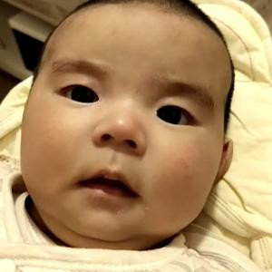 疯狂的小猪