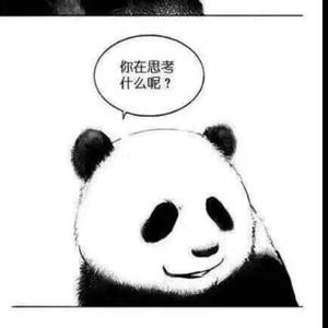 思考的熊猫