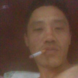 自由的风
