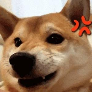 不是绮梦