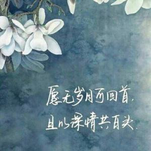 逆风的蔷薇