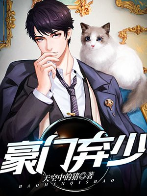 豪门弃少