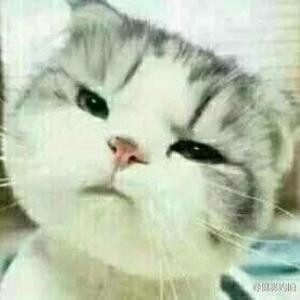 大瑞