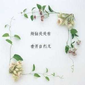 花是广州的靓