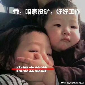 鸢尾清明