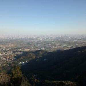 李金水