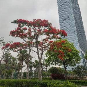 平凡时光