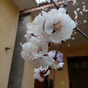 相濡以沫的爱情