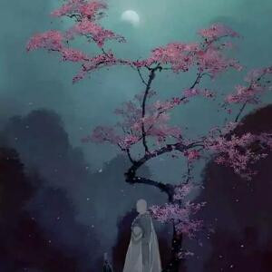 兮夜