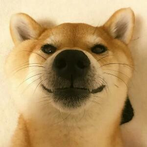 啦啦啦