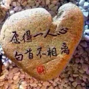 易love林