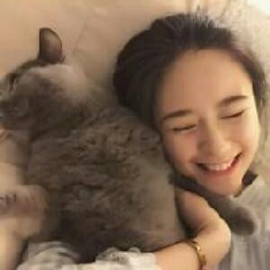 伯仁