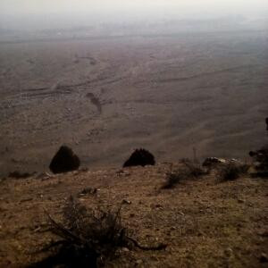 阴阳间的彼岸花