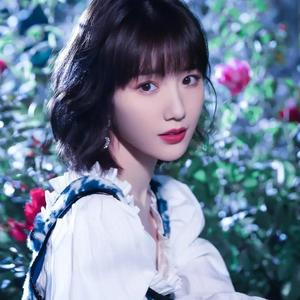致我四驱的女票