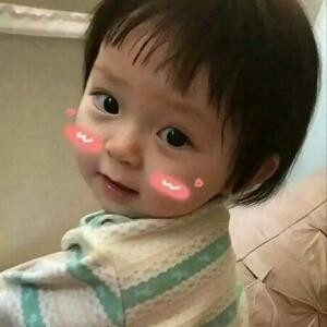坠落的北极星