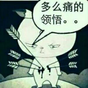 宝宝